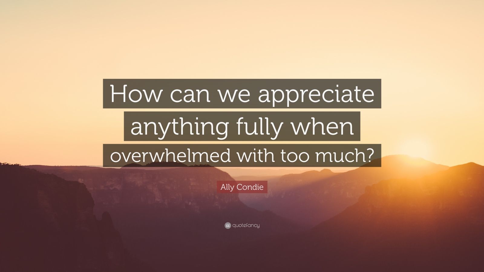 Ally Condie Quote: “How can we appreciate anything fully when ...