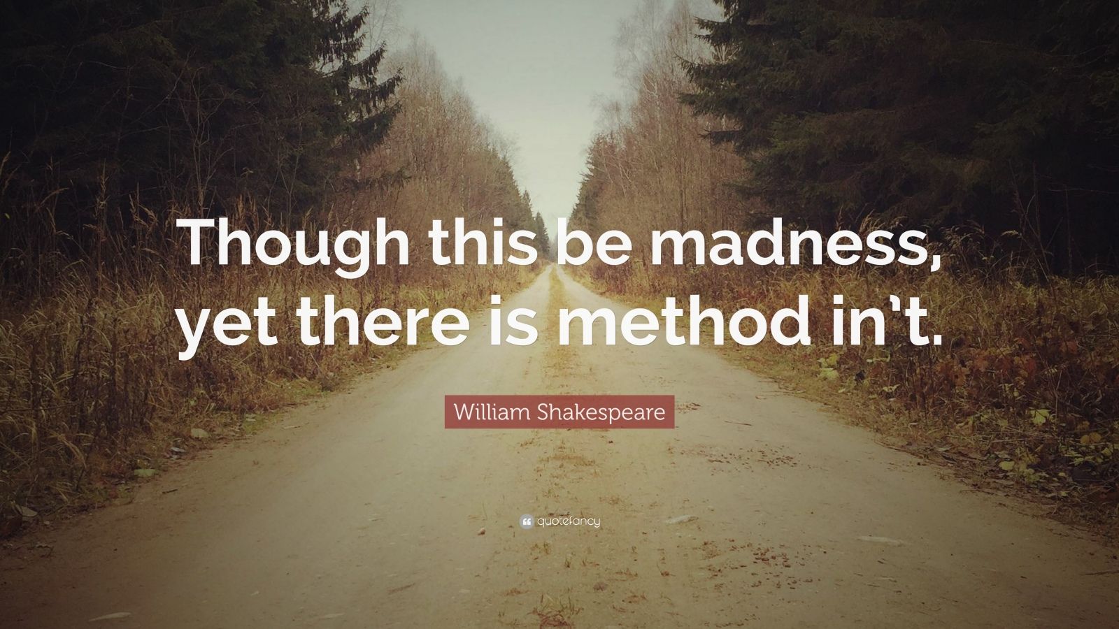 William Shakespeare Quote: “Though this be madness, yet there is method