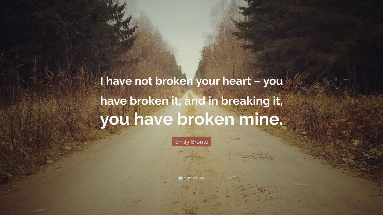 Emily Brontë Quote: “I have not broken your heart – you have broken it ...