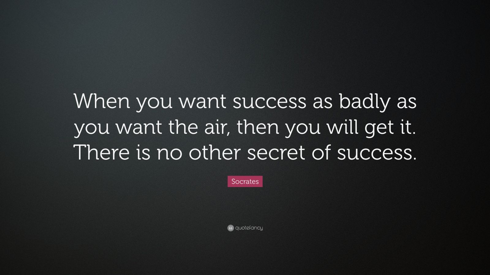 Socrates Quote: “When you want success as badly as you want the air ...