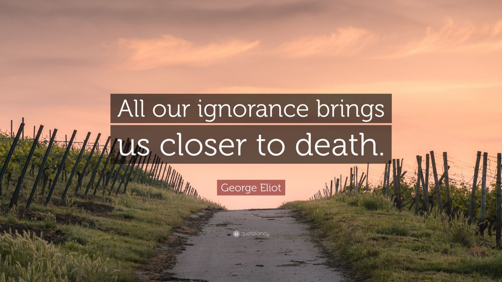 George Eliot Quote: “all Our Ignorance Brings Us Closer To Death.”