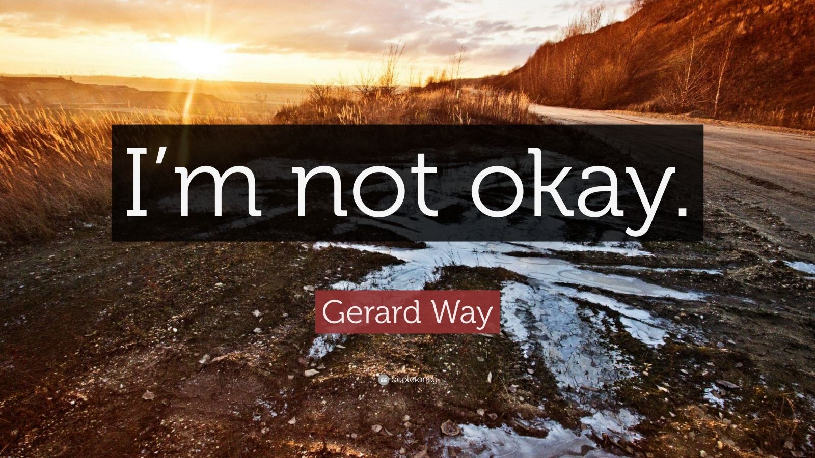 I M Not Okay Quotes