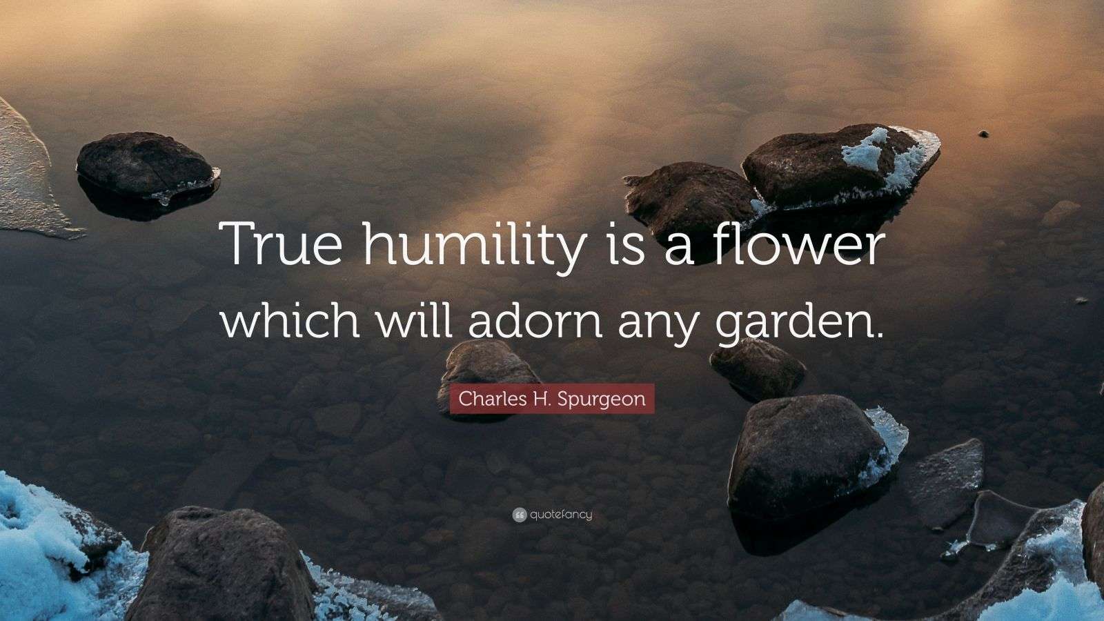 Charles H. Spurgeon Quote “True humility is a flower which will adorn