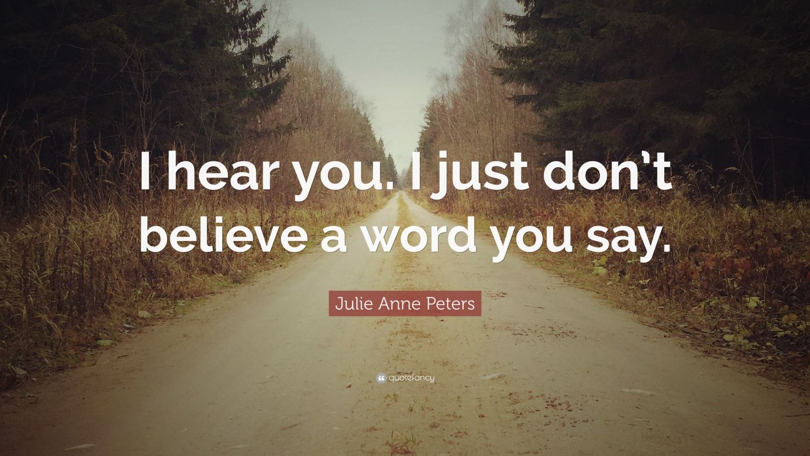 Julie Anne Peters Quote: “I hear you. I just don’t believe a word you say.”