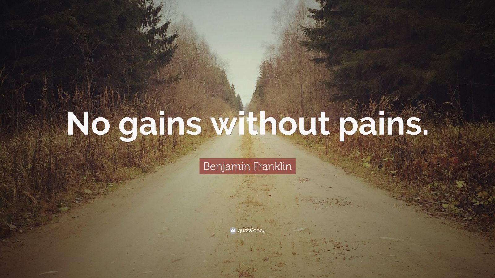 benjamin-franklin-quote-no-gains-without-pains-7-wallpapers