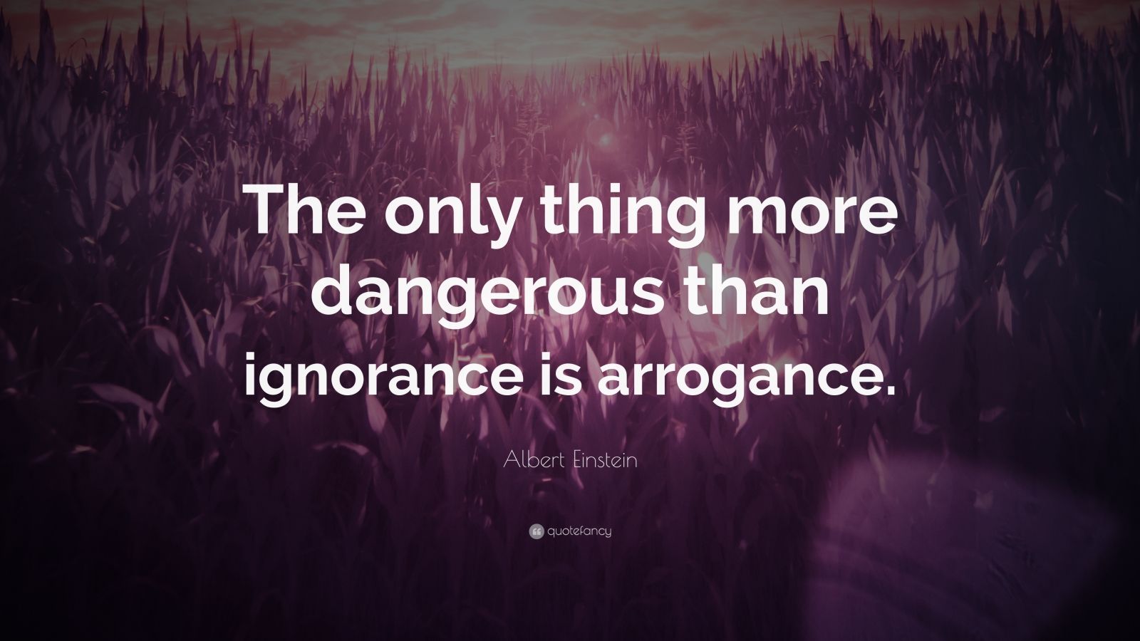 Albert Einstein Quote “The only thing more dangerous than ignorance is