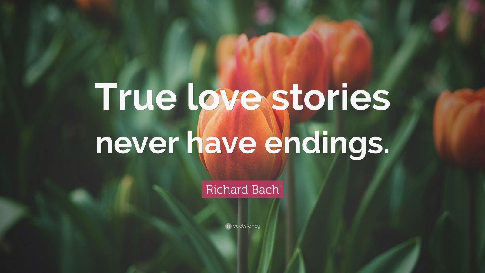 Richard Bach Quote: “True love stories never have endings.” (25 ...