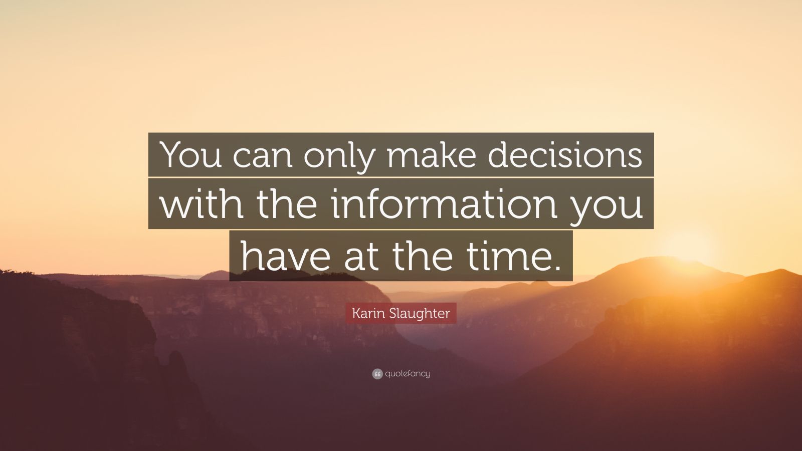 MAKE DECISIONS WITH LIMITED INFORMATION visual data 6