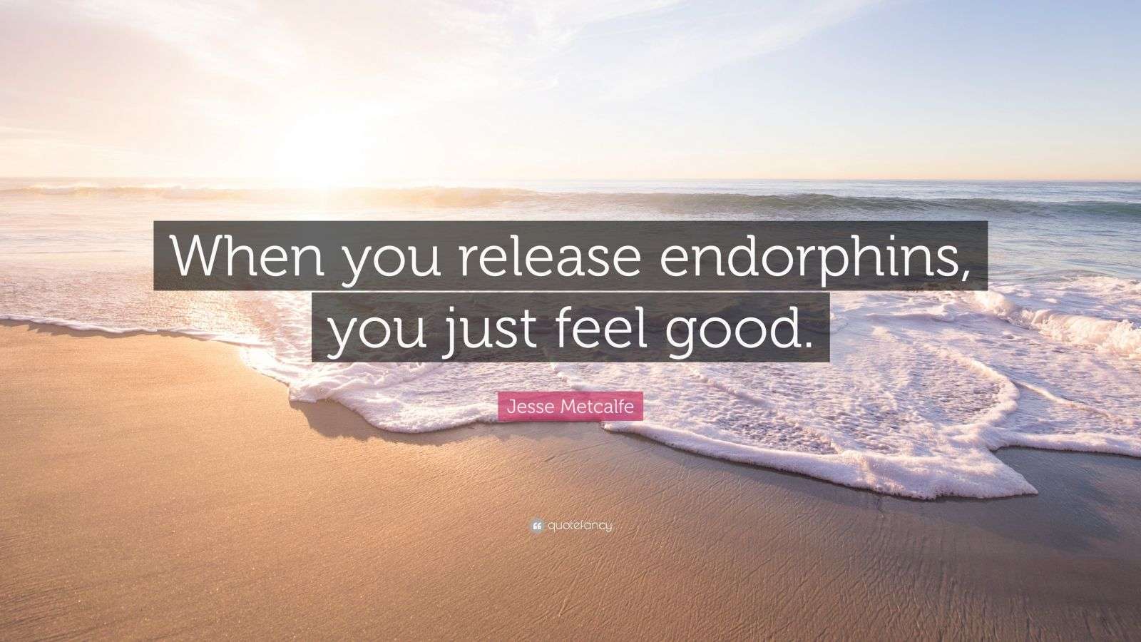 Jesse Metcalfe Quote “When you release endorphins, you just feel good