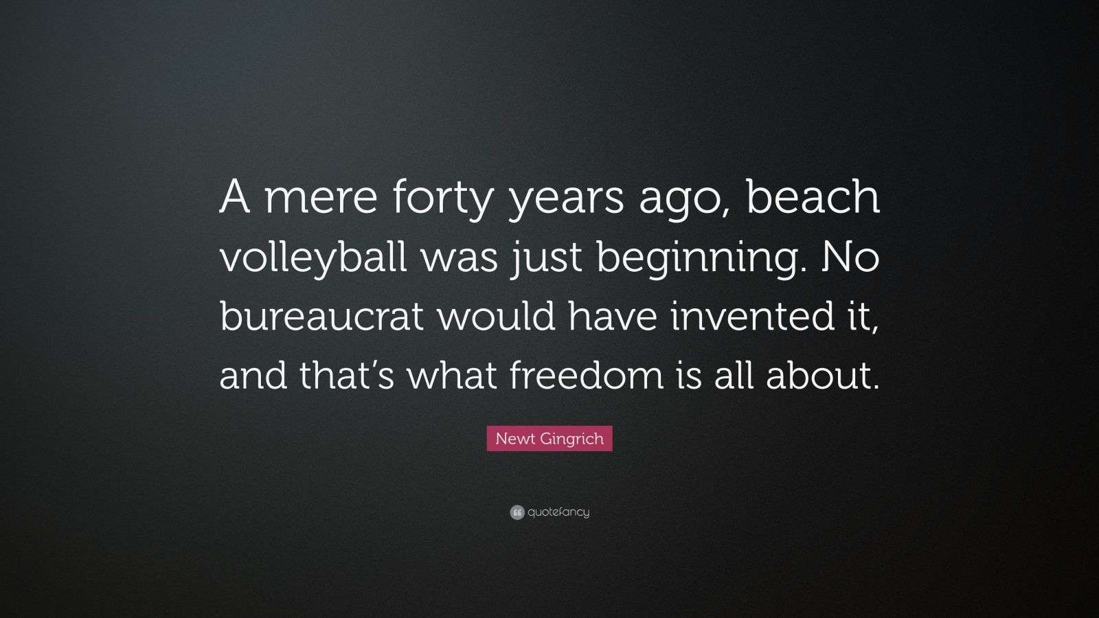 Newt Gingrich Quote “A mere forty years ago, beach volleyball was just beginning. No bureaucrat