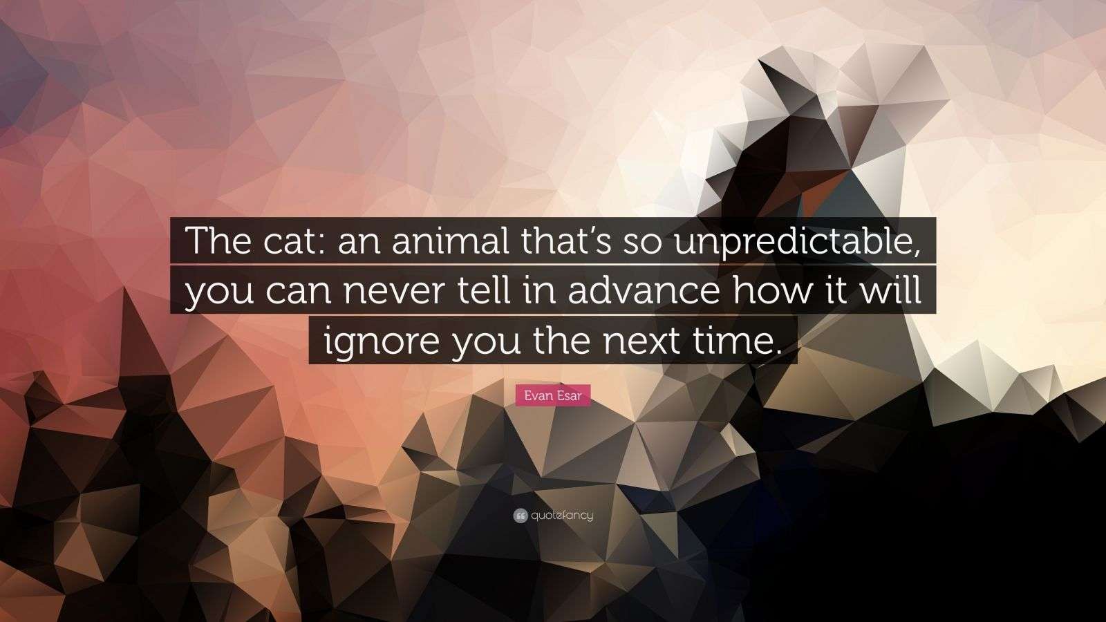 Evan Esar Quote “The cat an animal that’s so unpredictable, you can