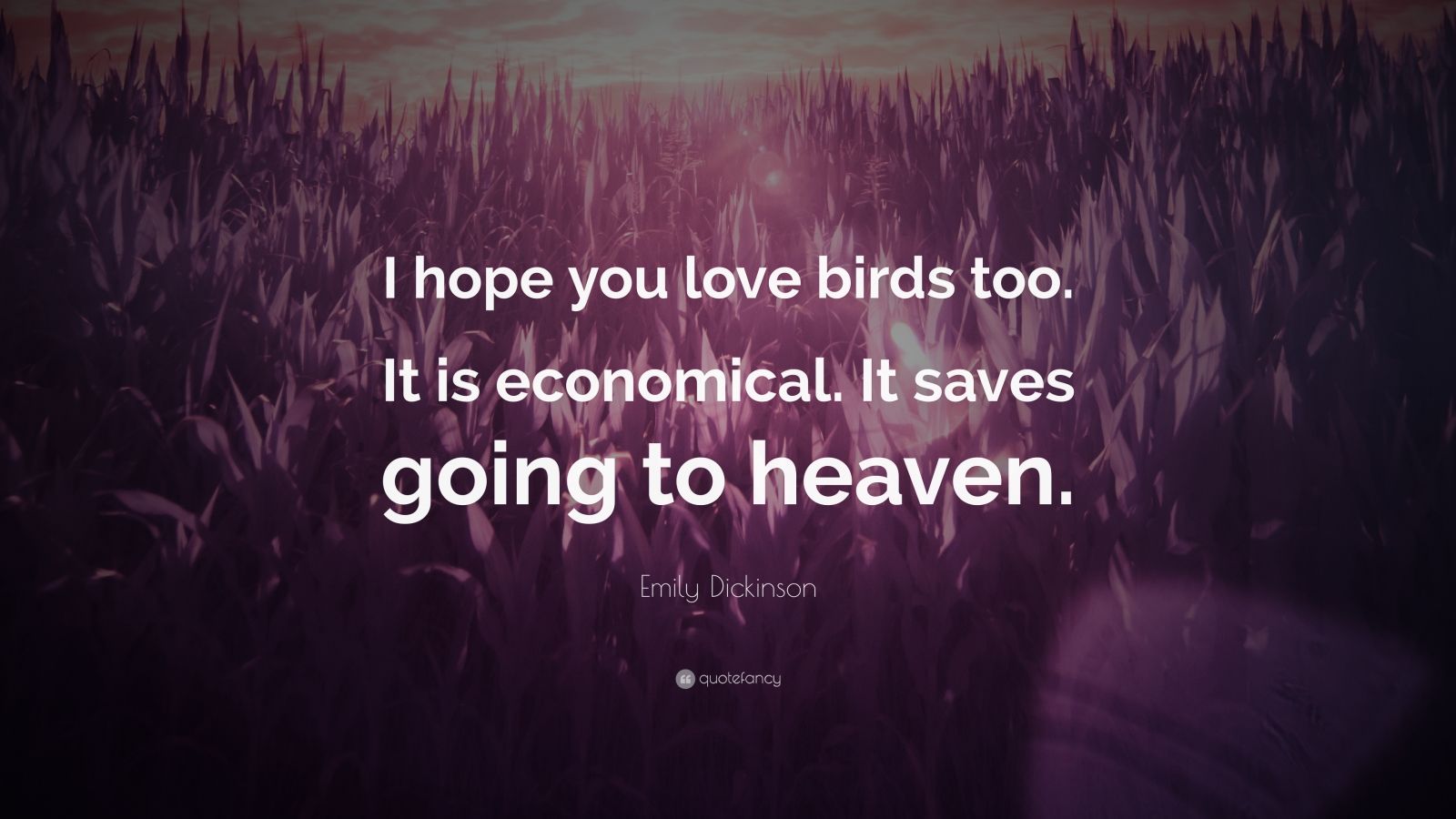 emily-dickinson-quote-i-hope-you-love-birds-too-it-is-economical-it