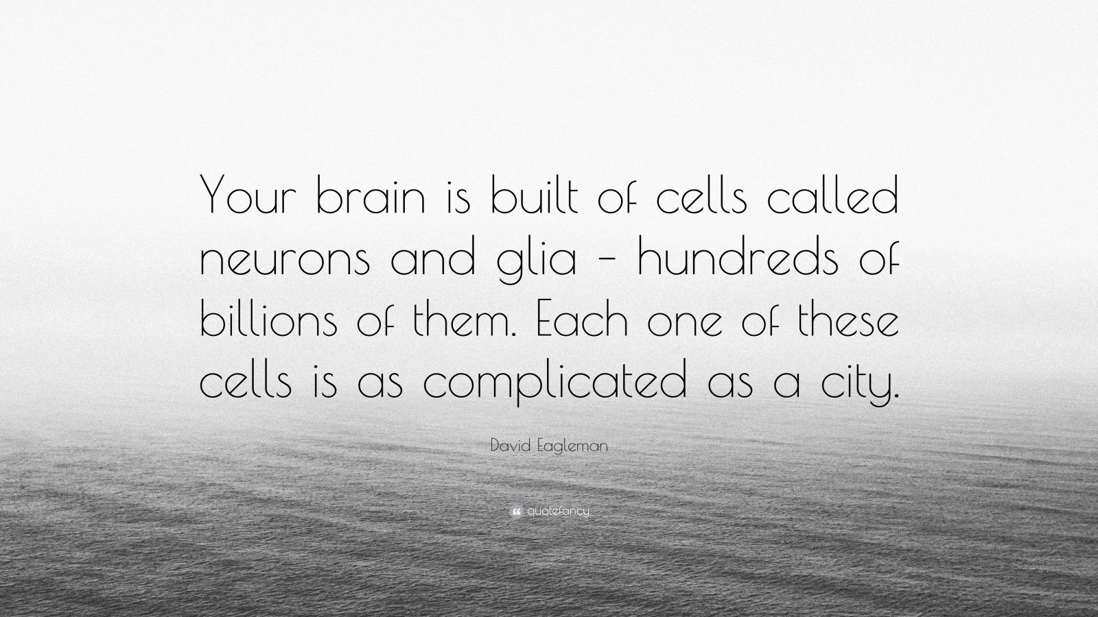 David Eagleman Quote: “Your brain is built of cells called neurons and