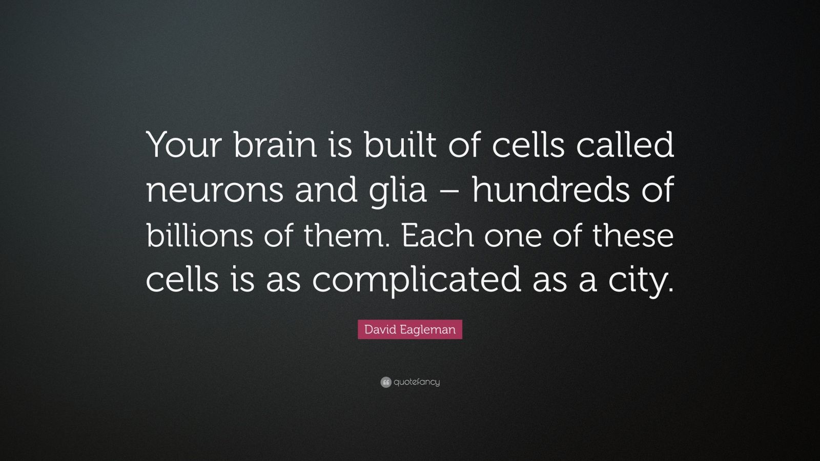 David Eagleman Quote: “Your brain is built of cells called neurons and