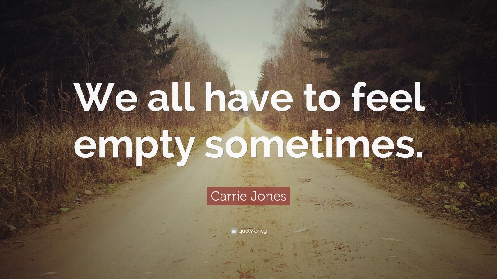 Carrie Jones Quote: “We all have to feel empty sometimes.”