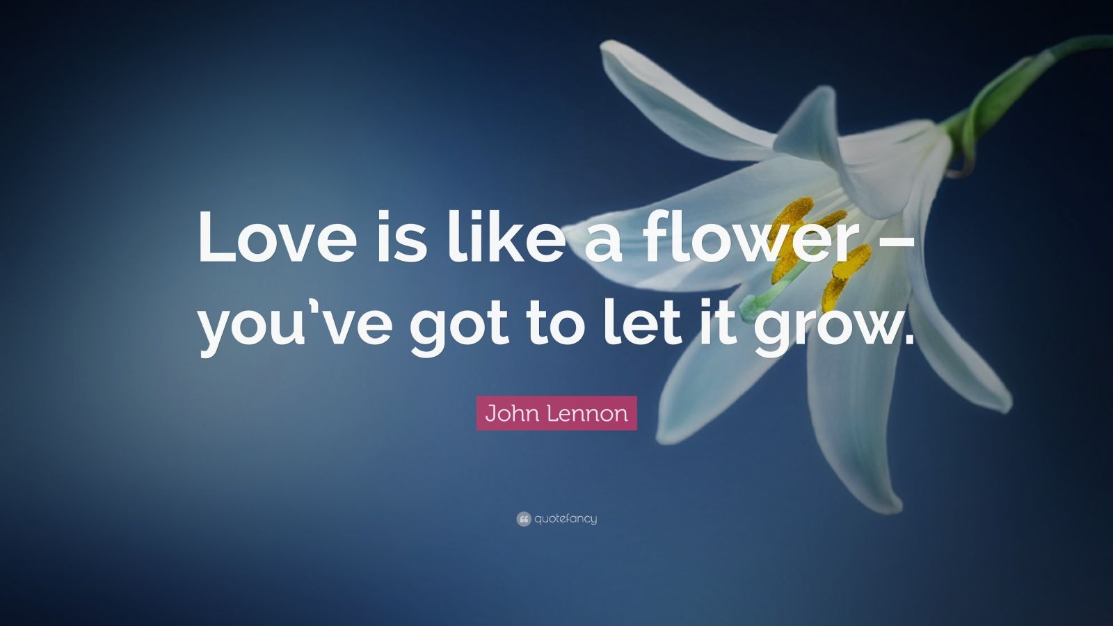 John Lennon Quote “Love is like a flower you’ve got to let it grow