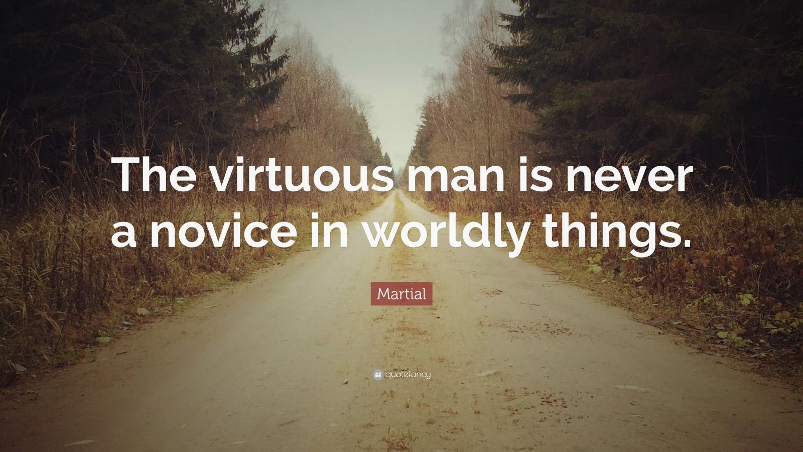 Martial Quote: “the Virtuous Man Is Never A Novice In Worldly Things 