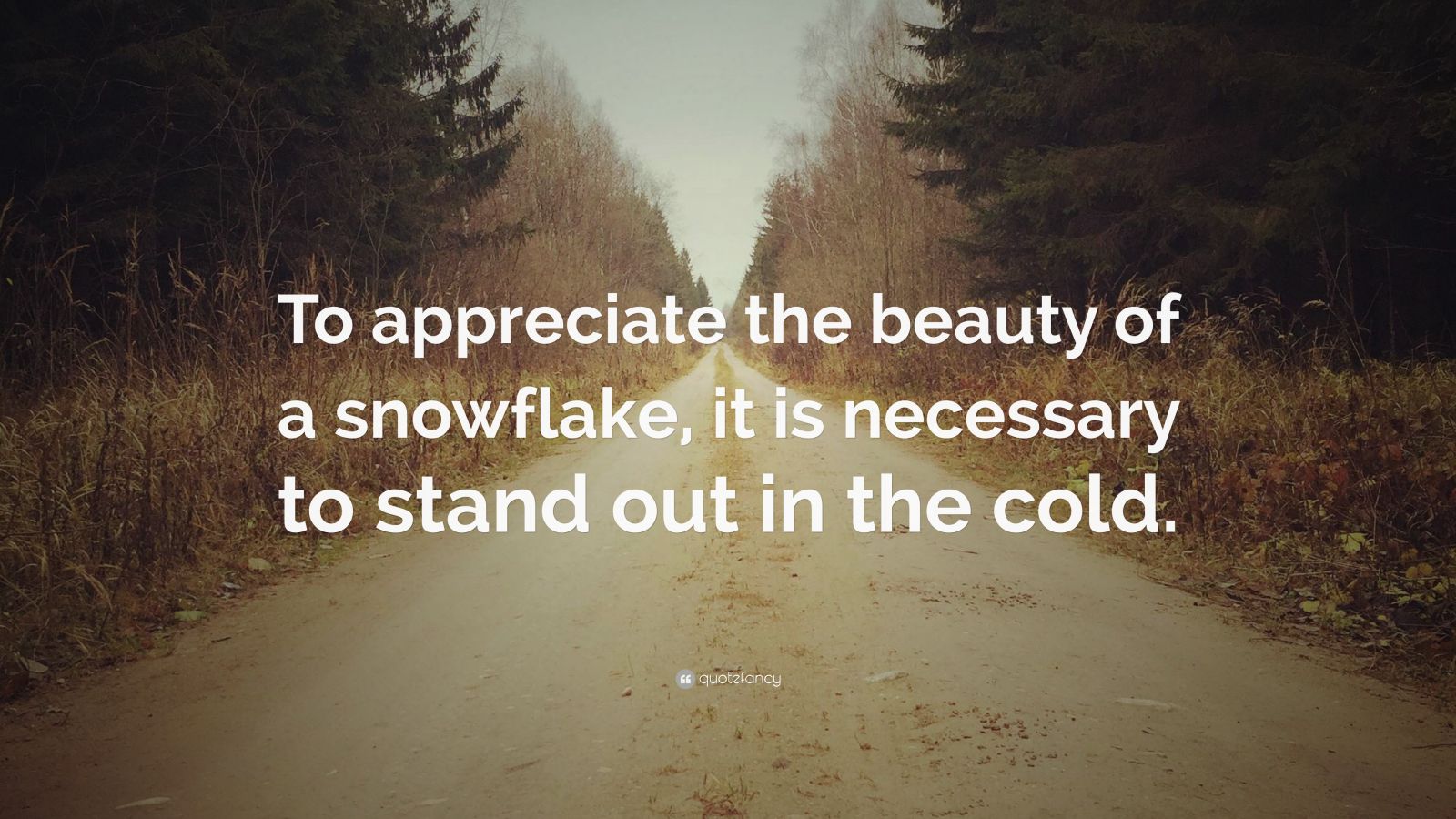 Aristotle Quote: “To appreciate the beauty of a snow flake, it is ...