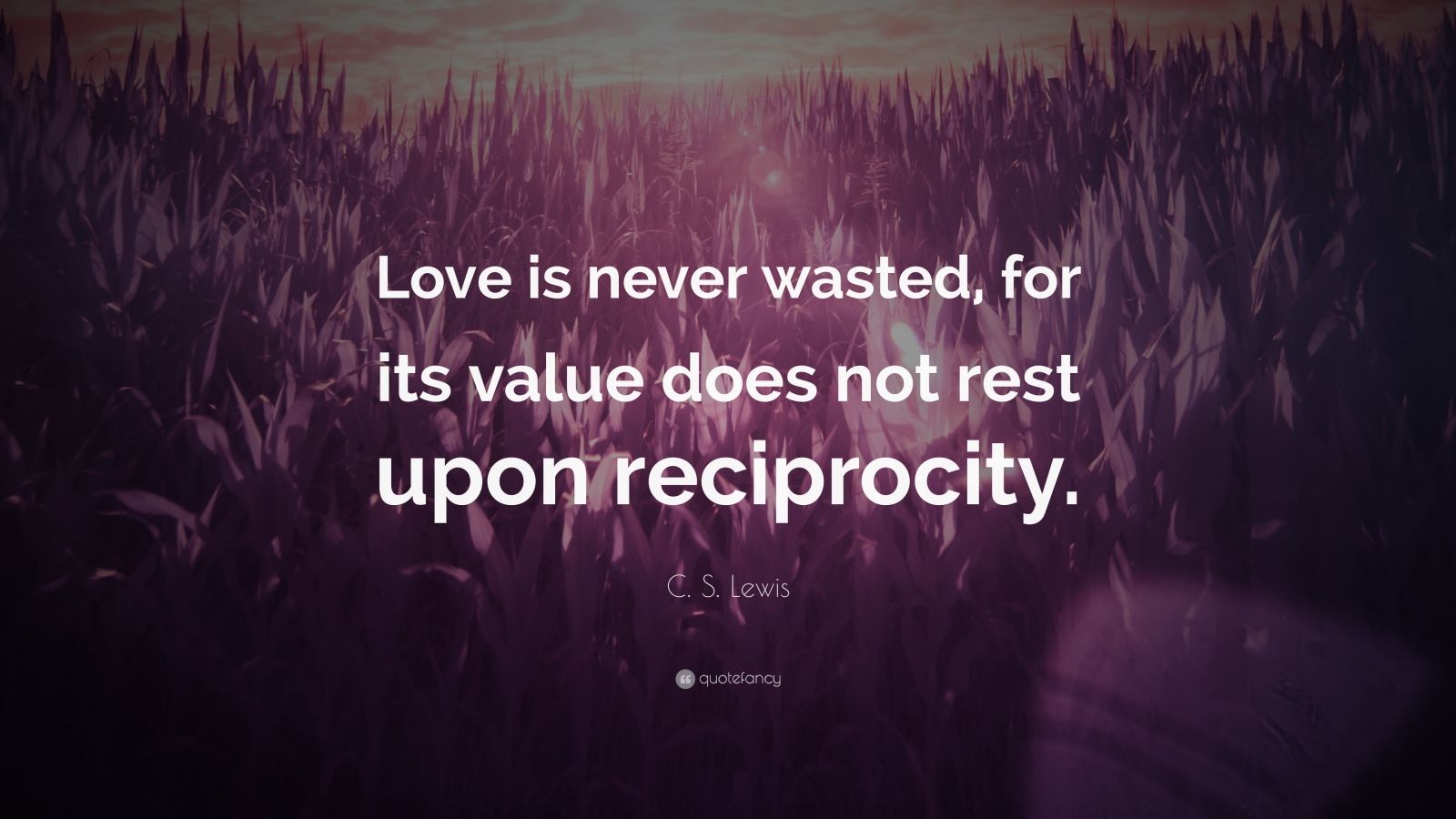 C. S. Lewis Quote “Love is never wasted, for its value