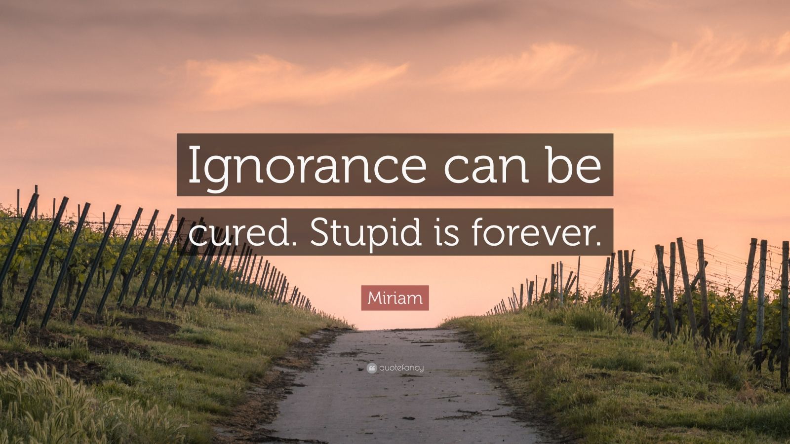 Miriam Quote: “Ignorance can be cured. Stupid is forever.” (10 ...