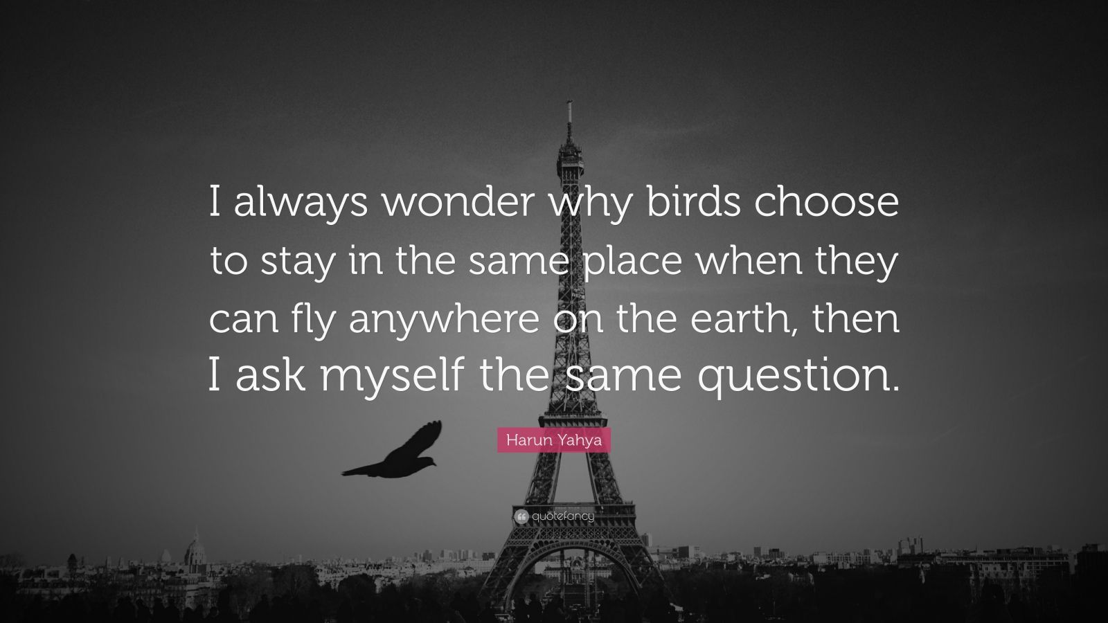 Harun Yahya Quote: “I always wonder why birds choose to stay in the ...