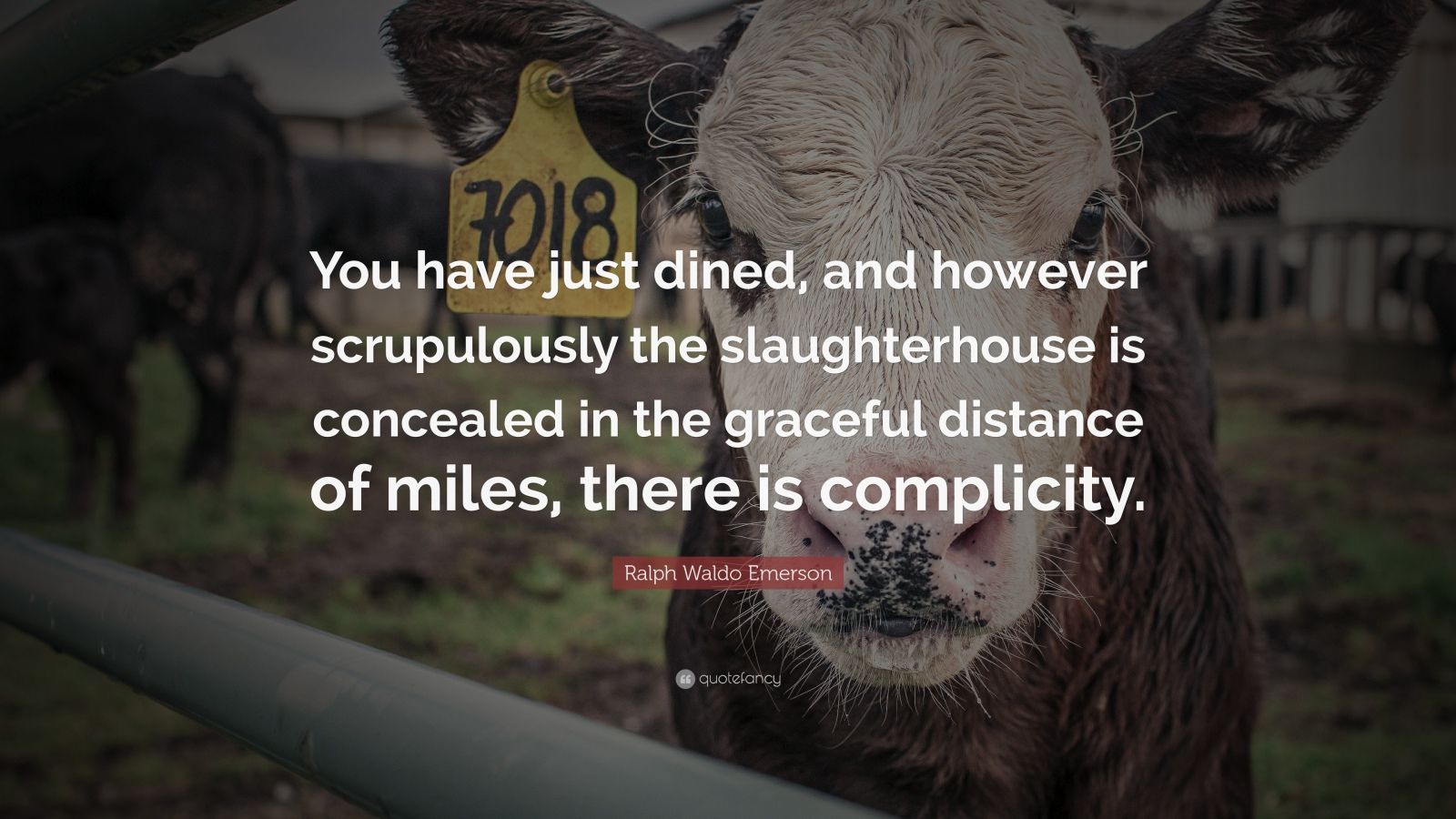 Ralph Waldo Emerson Quote: “You have just dined, and however ...
