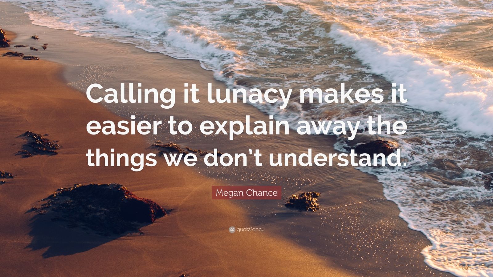 quotes about lunacy