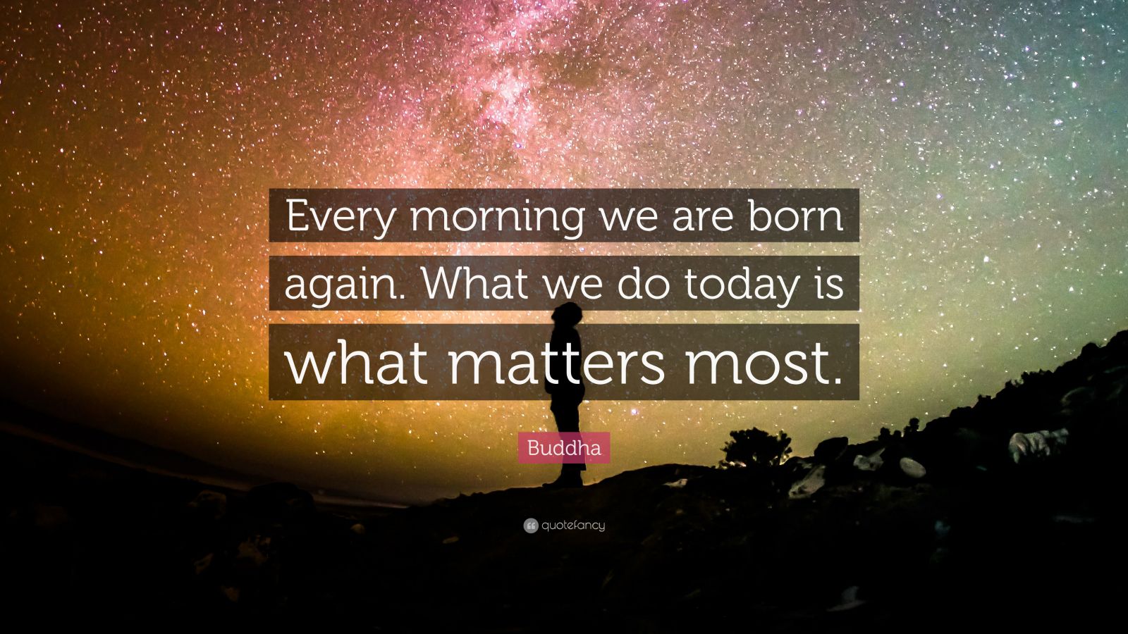 Buddha Quote “Every morning we are born again. What we do today is