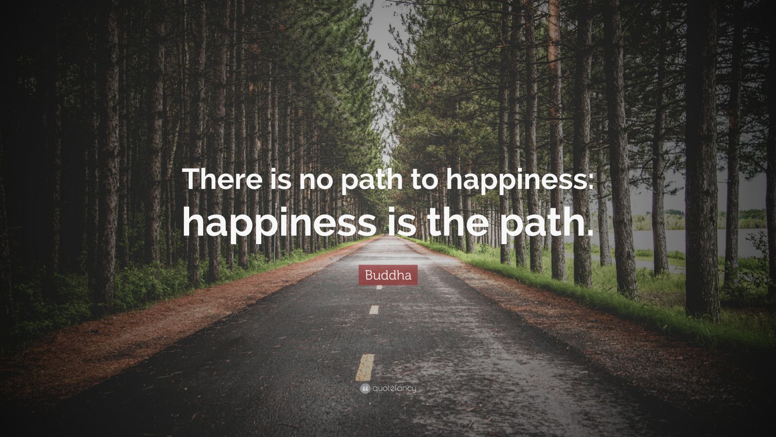 Buddha Quote “There is no path to happiness happiness is the path