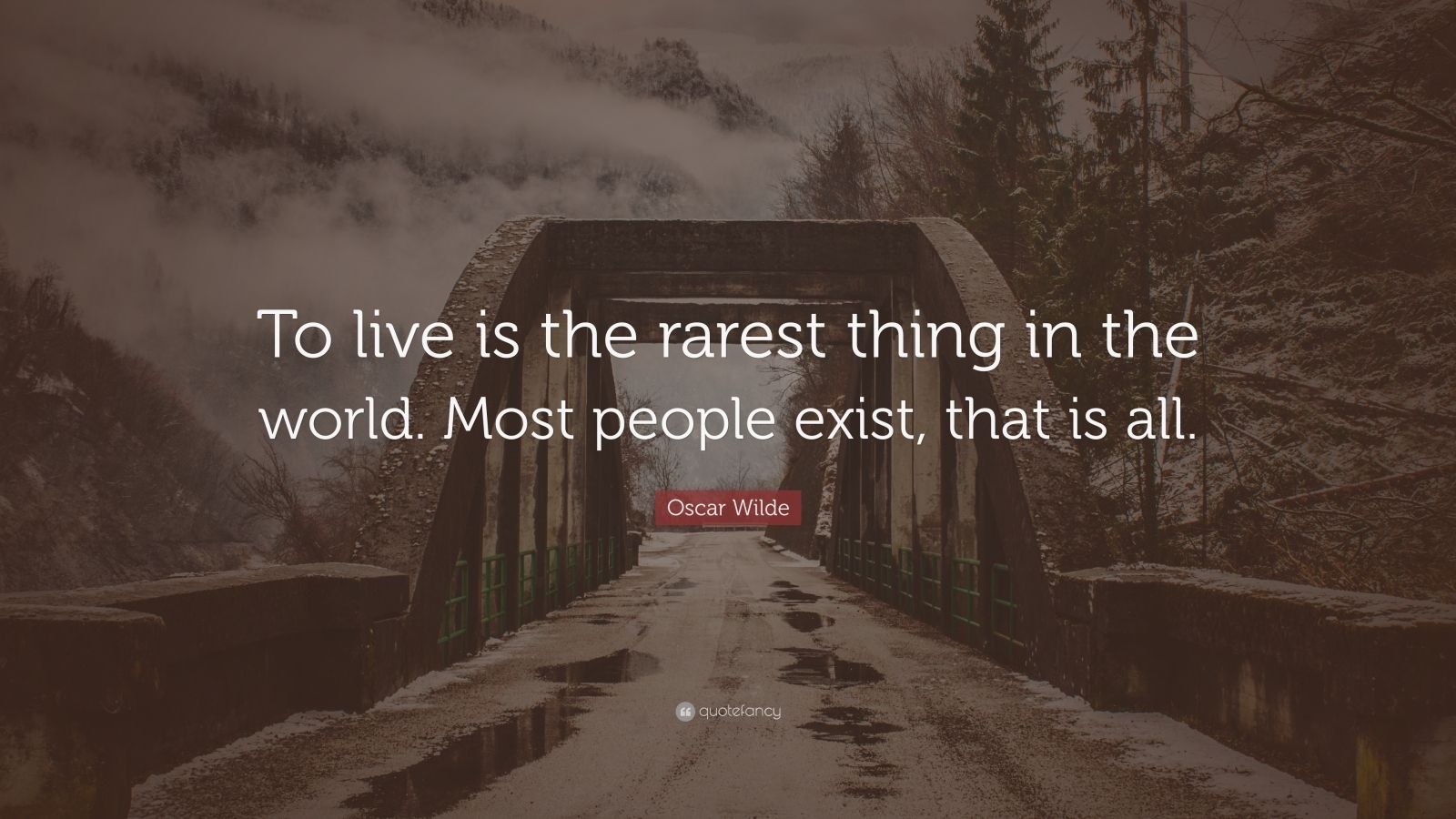 Oscar Wilde Quote: “To live is the rarest thing in the world. Most people exist, that is all.”