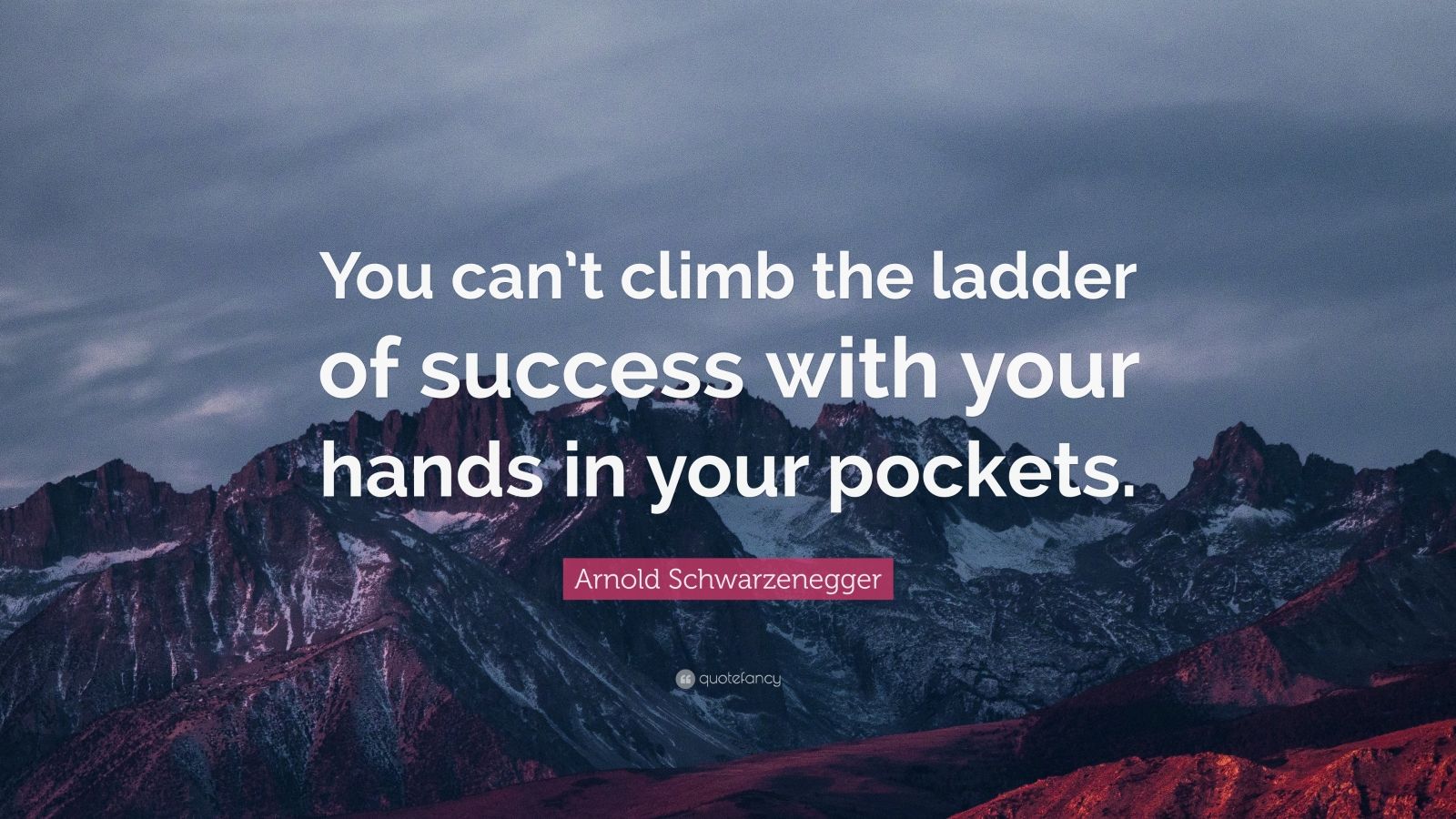 Arnold Schwarzenegger Quote: “You can’t climb the ladder of success ...