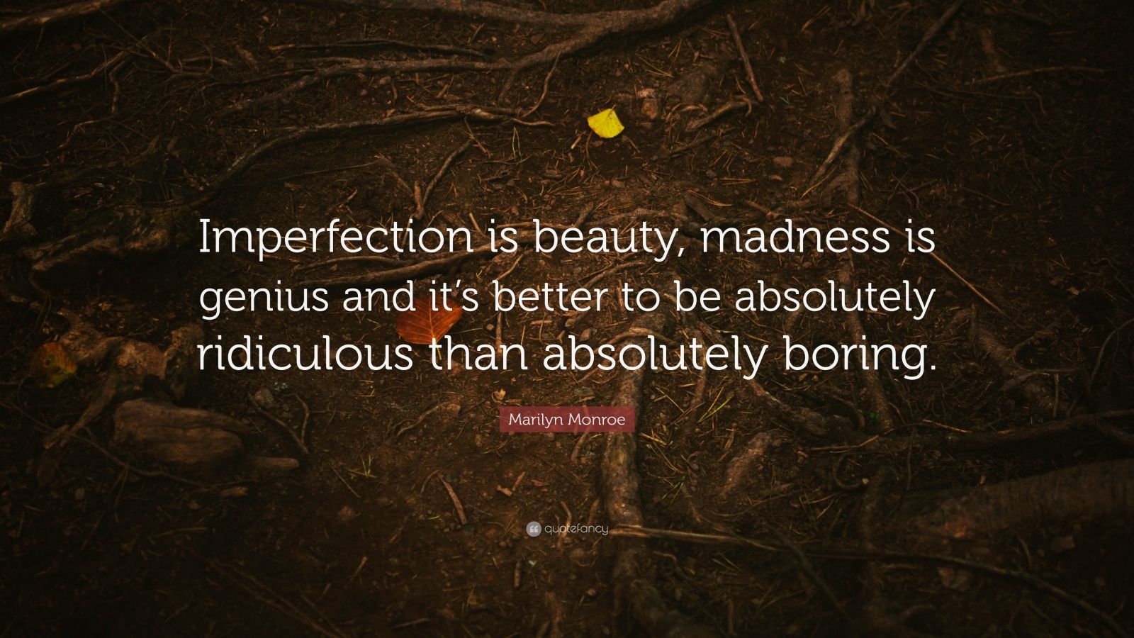 Marilyn Monroe Quote “Imperfection is beauty, madness is genius and it