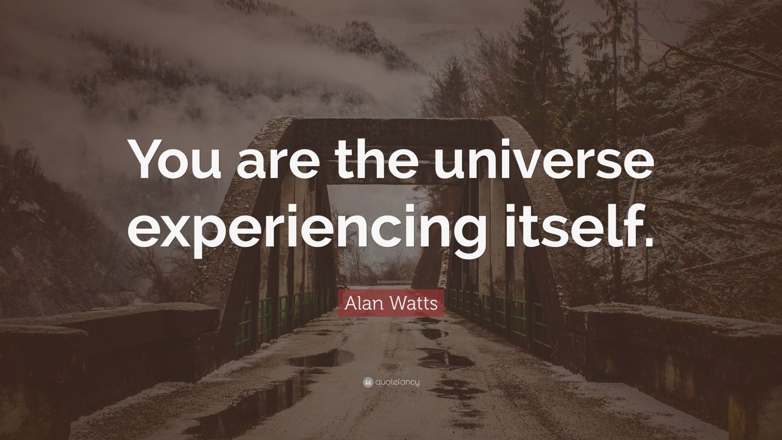 Alan Watts Quote: “You are the universe experiencing itself.” (18 ...