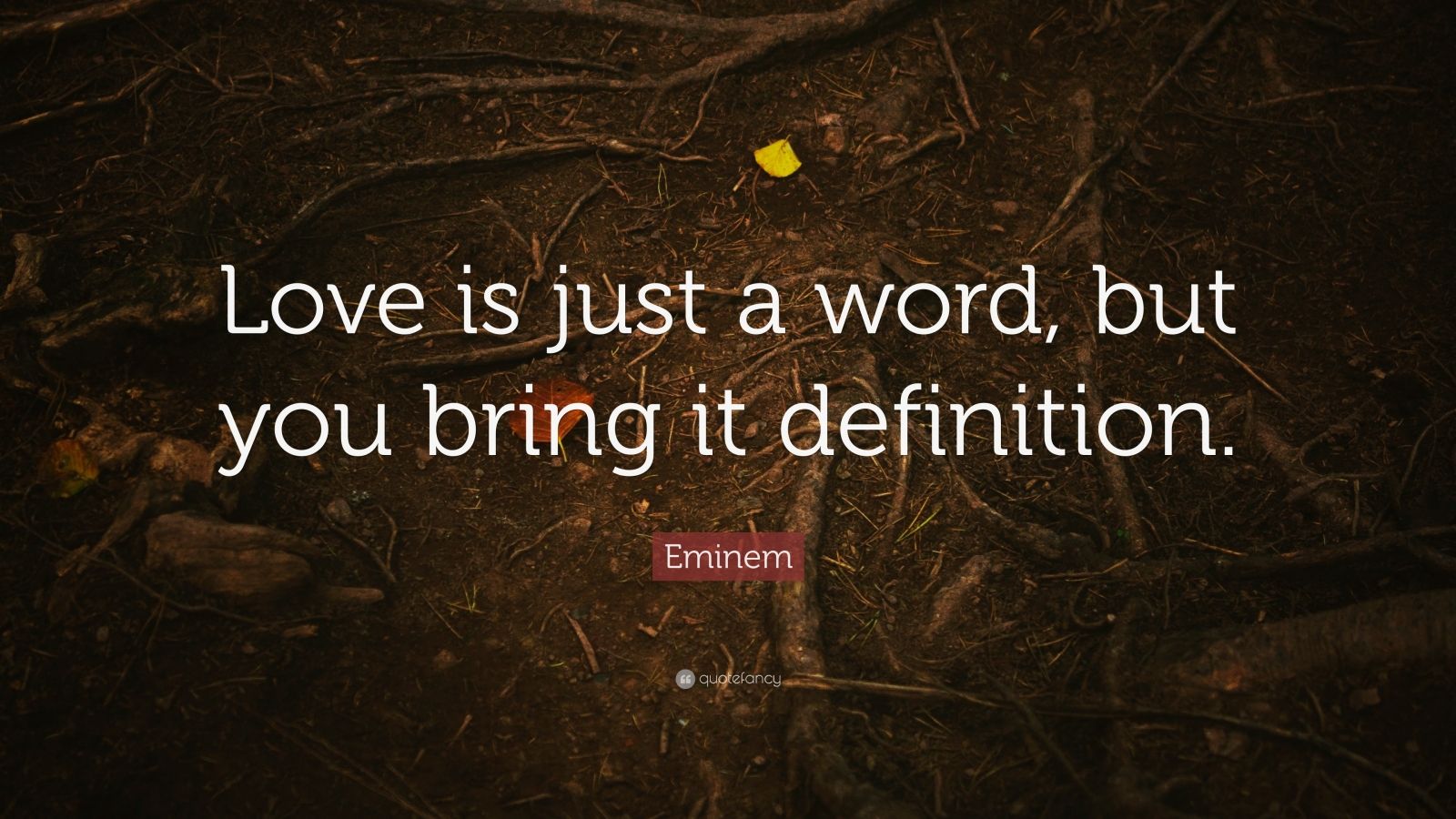 Eminem Quote “Love is just a word, but you bring it definition.” (16