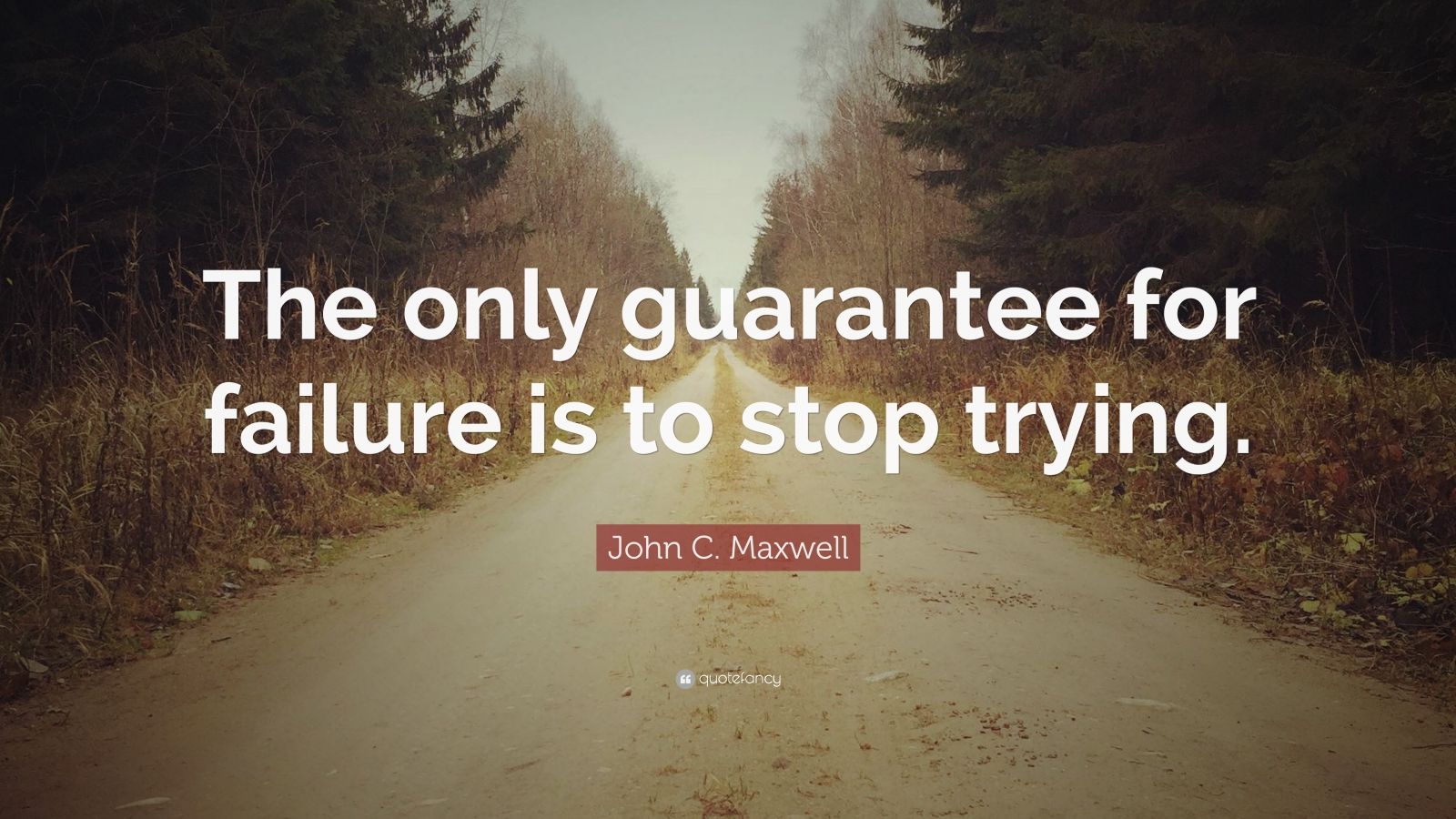 John C. Maxwell Quote: “The only guarantee for failure is to stop ...