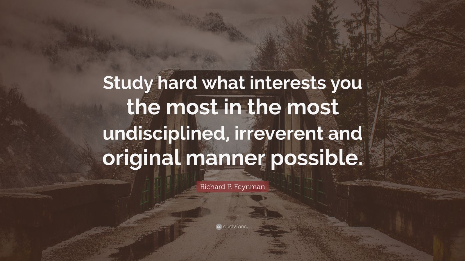 Richard P. Feynman Quote: “Study hard what interests you the most in ...