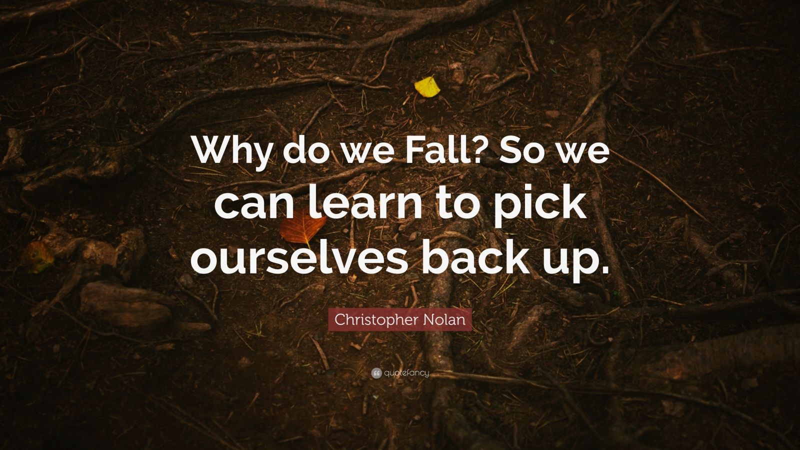 Christopher Nolan Quote “Why do we Fall? So we can learn