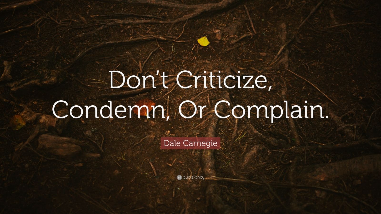 Dale Carnegie Quote “Don’t Criticize, Condemn, Or Complain.” (12