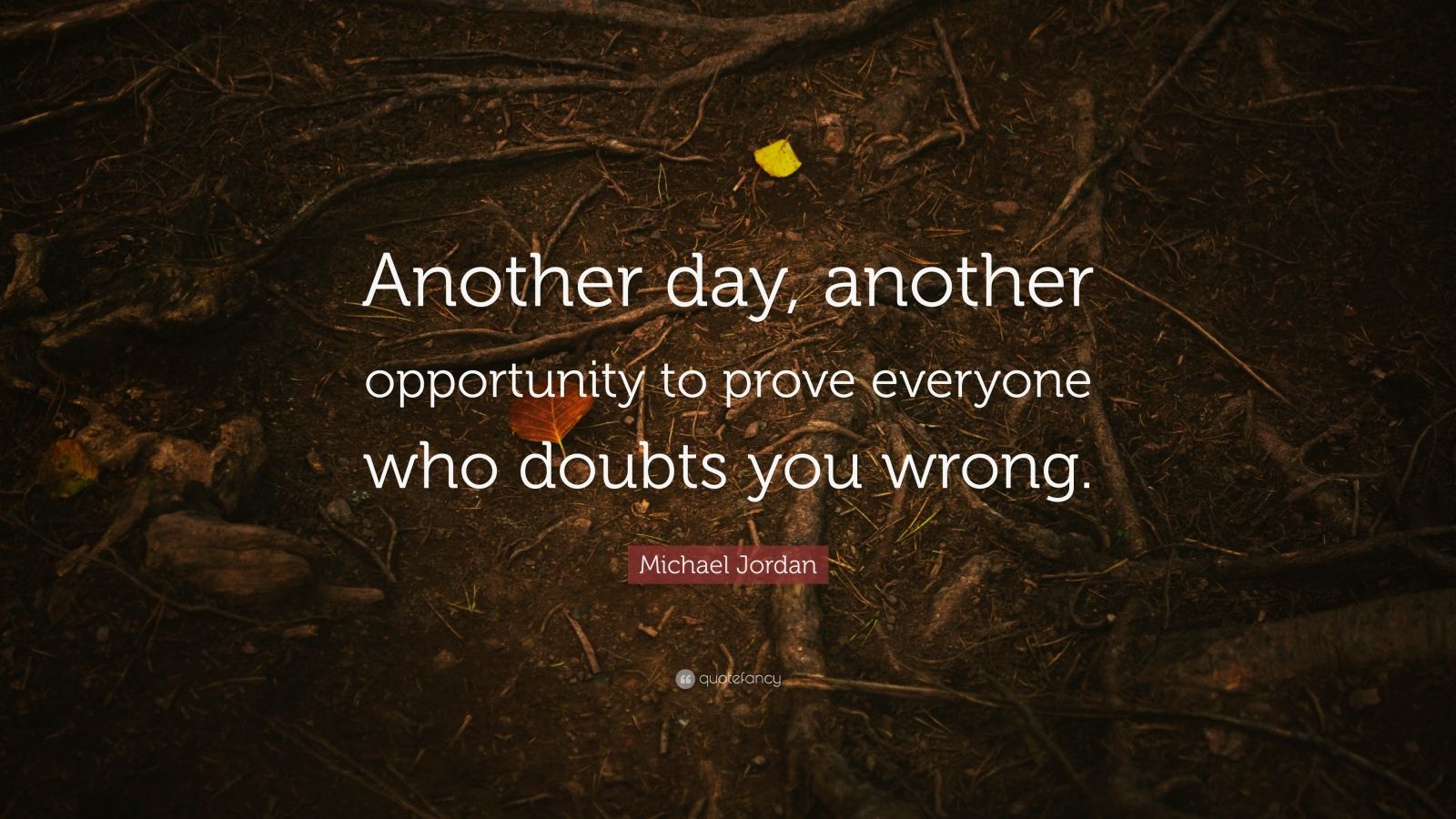 Michael Jordan Quote: “Another day, another opportunity to prove ...