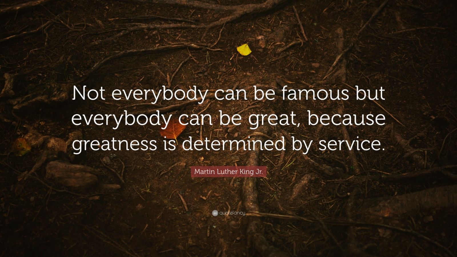 Martin Luther King Jr. Quote: “Not everybody can be famous but ...