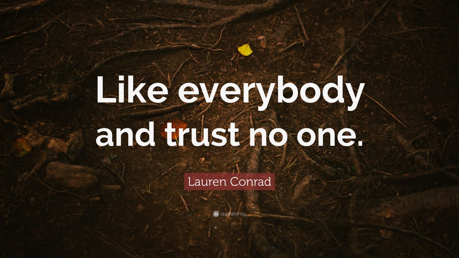 Lauren Conrad Quote: “Like everybody and trust no one.” (9 wallpapers ...