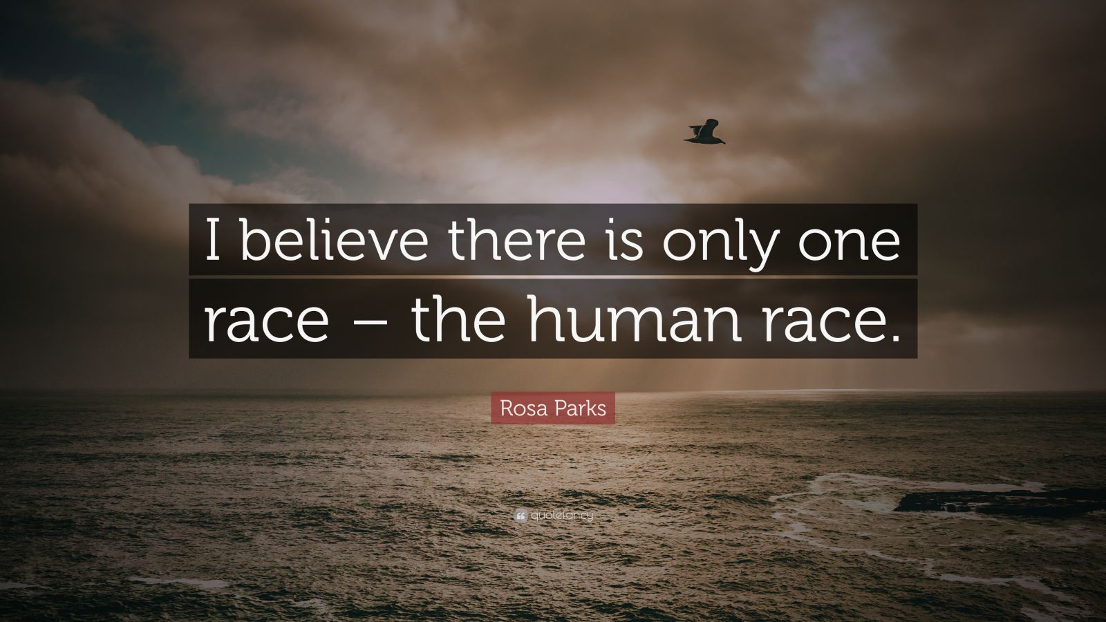 Rosa Parks Quote “I believe there is only one race the human race