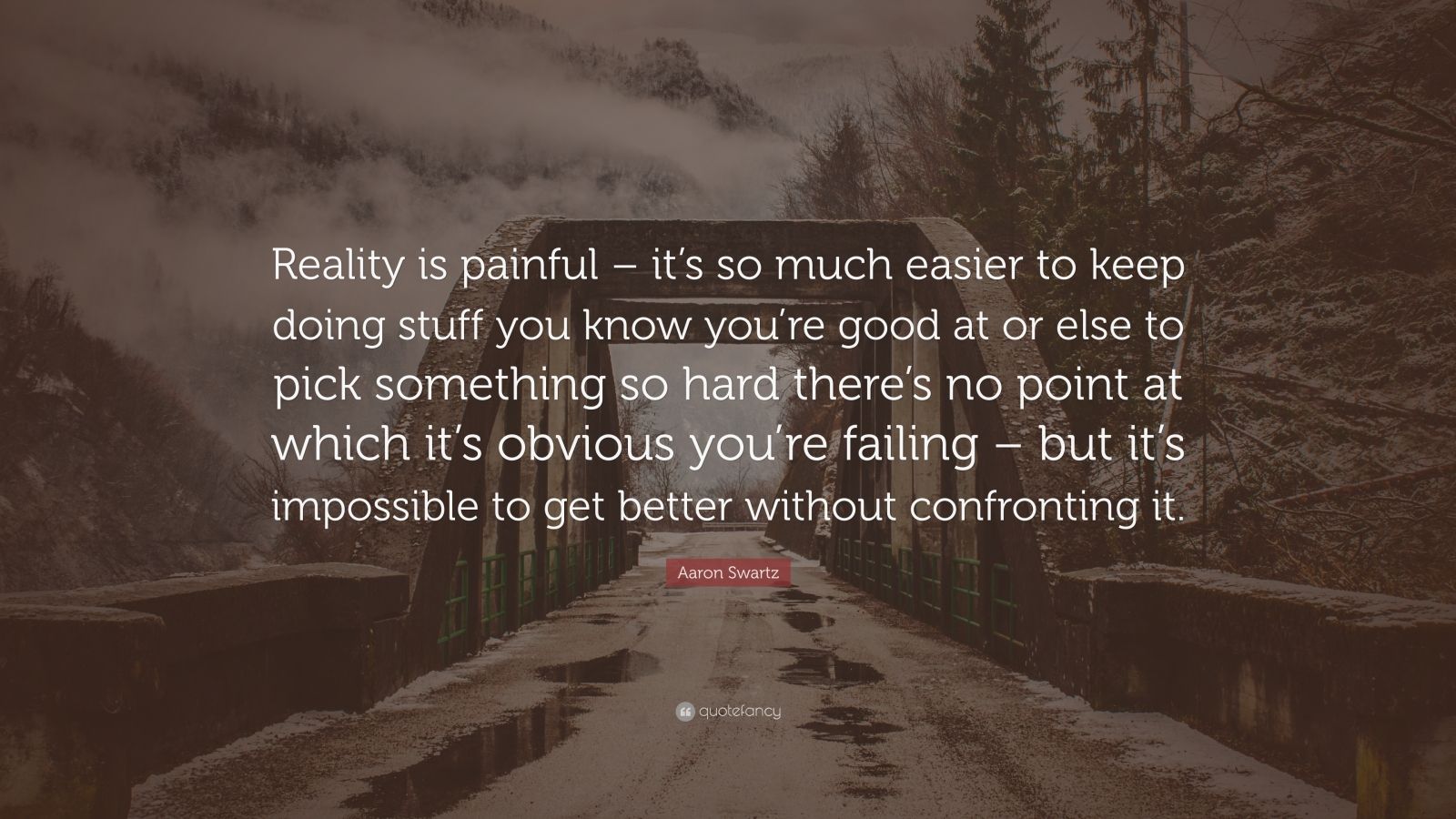 Aaron Swartz Quote: “Reality is painful – it’s so much easier to keep ...