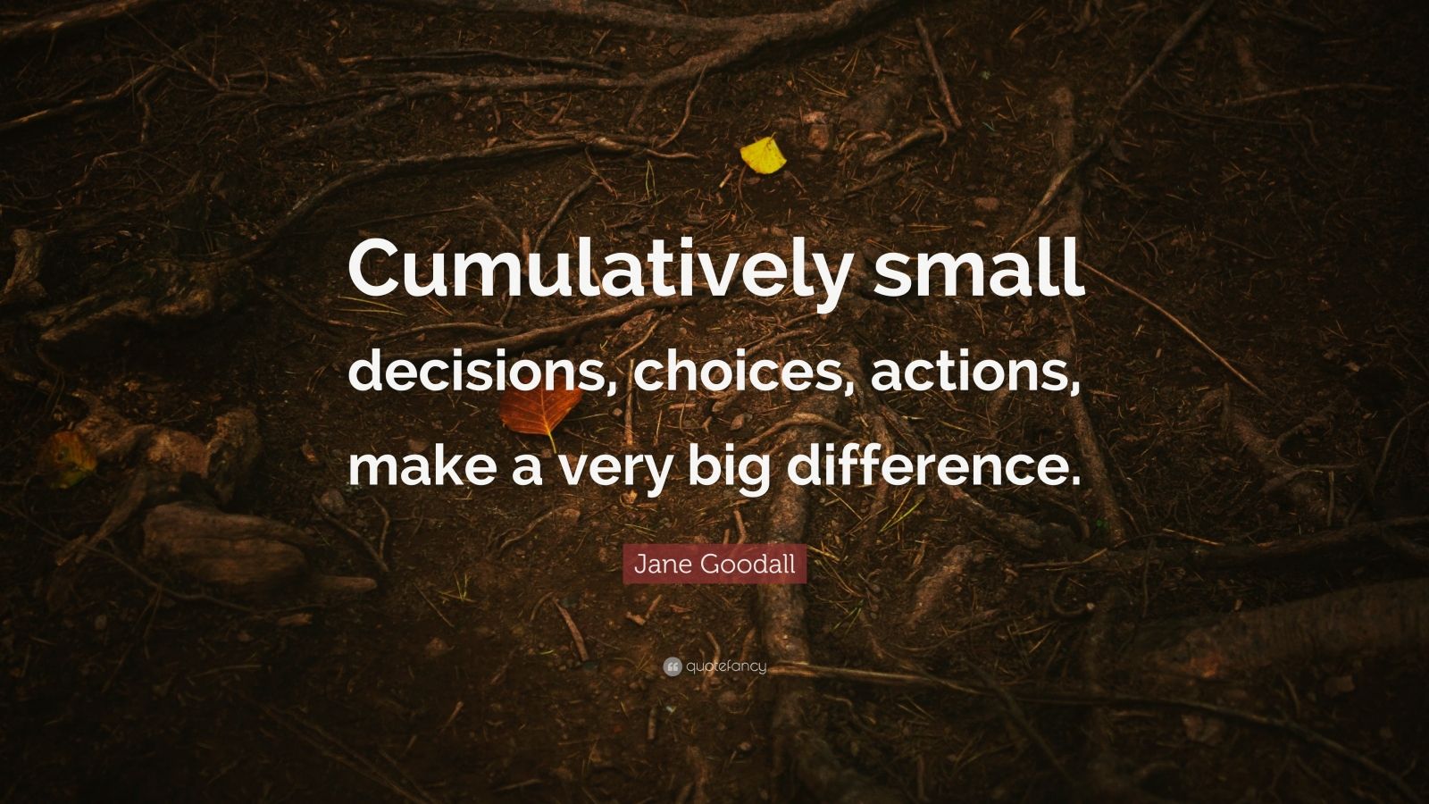 Jane Goodall Quote “Cumulatively small decisions, choices, actions
