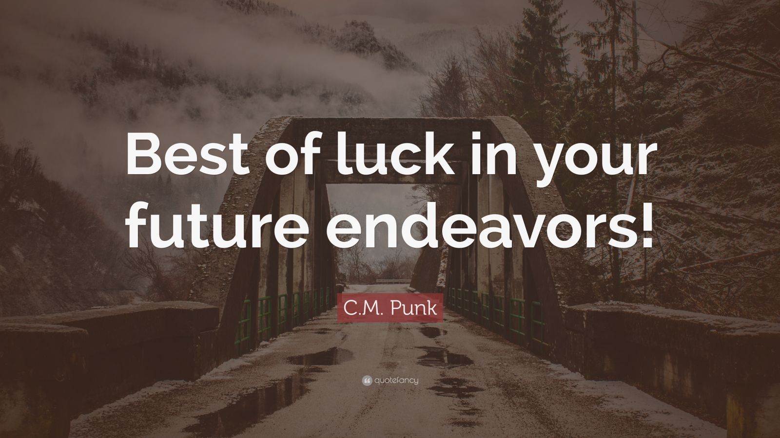 C M Punk Quote Best Of Luck In Your Future Endeavors 9 Wallpapers 