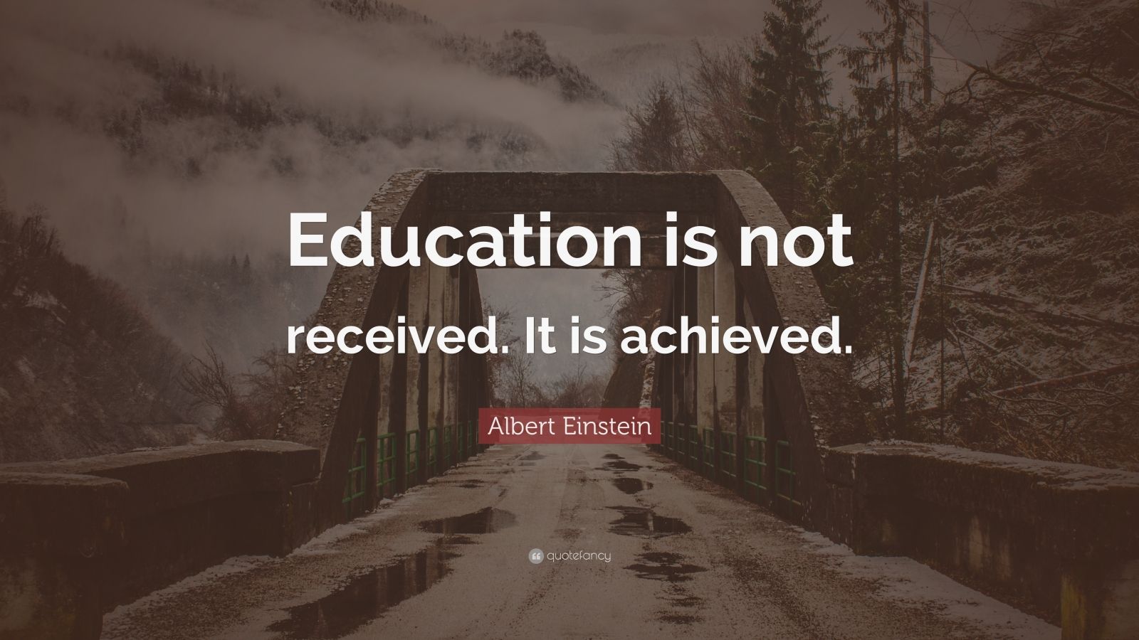 Albert Einstein Quote: “Education is not received. It is achieved.” (9 ...