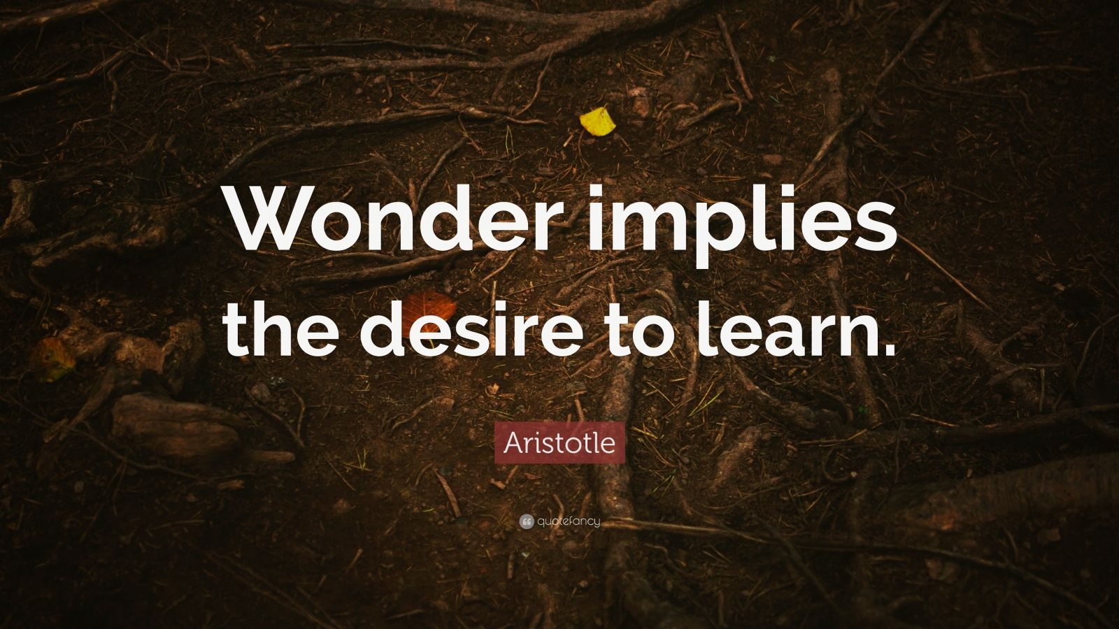 Aristotle Quote: “Wonder implies the desire to learn.” (12 wallpapers ...