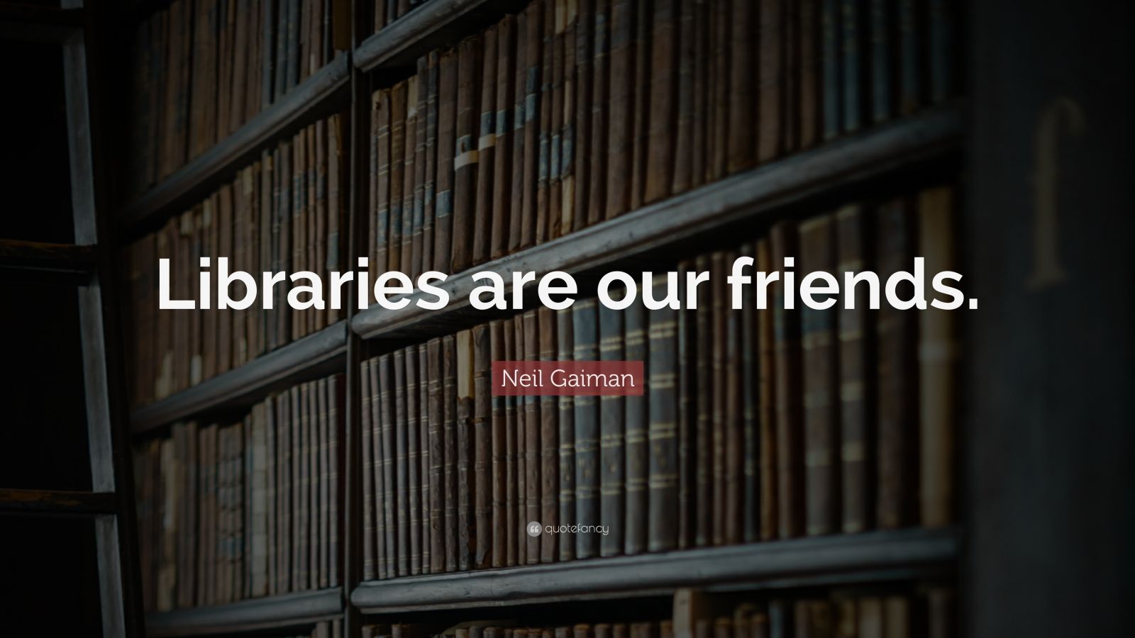 Neil Gaiman Quote: “Libraries are our friends.” (12 wallpapers ...