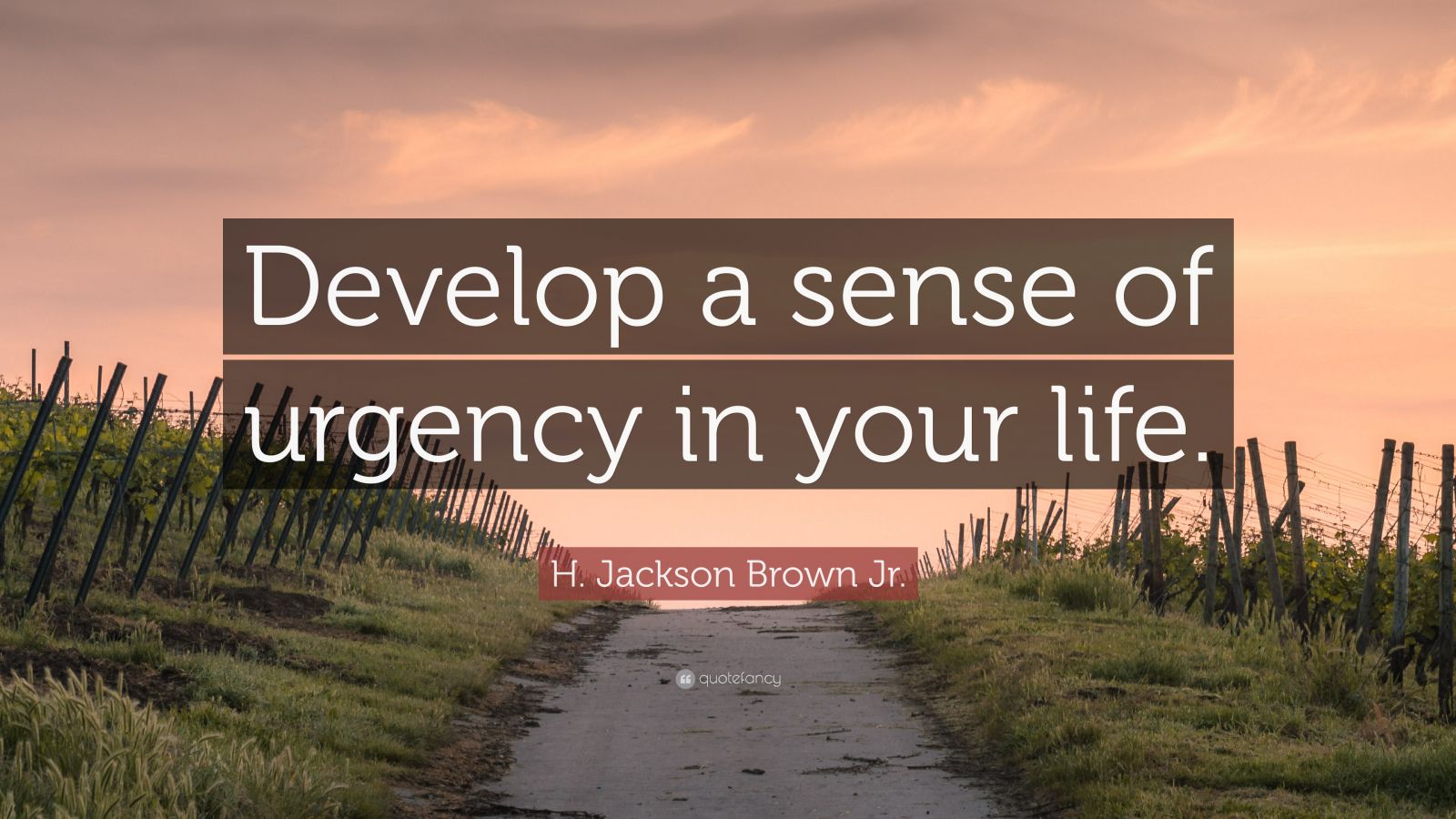 H. Jackson Brown Jr. Quote: “Develop a sense of urgency in your life ...