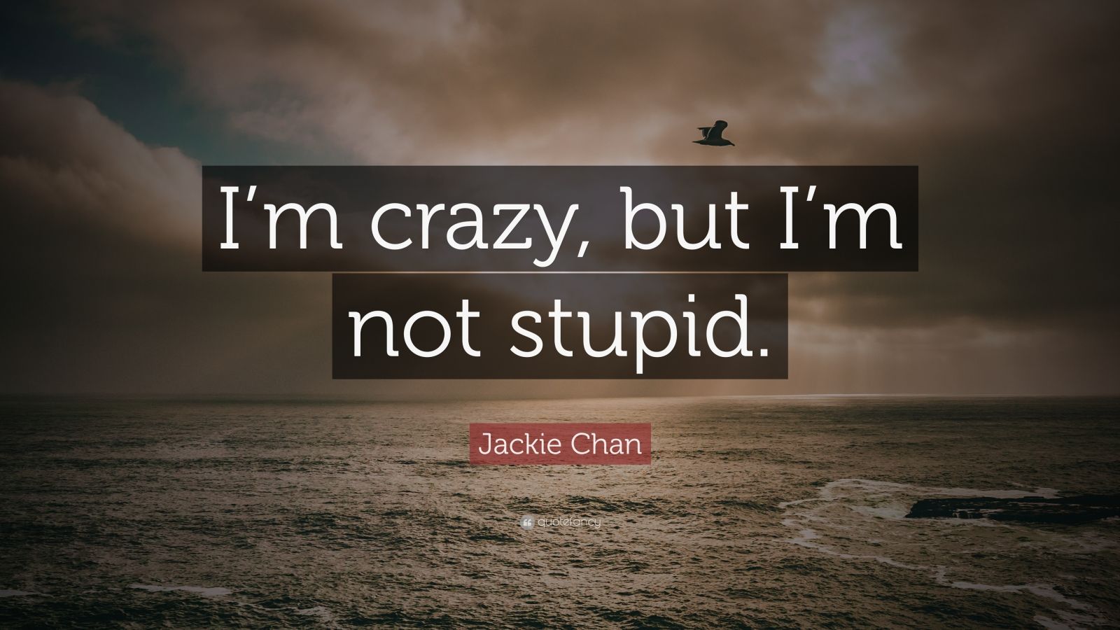 Jackie Chan Quote: "I'm crazy, but I'm not stupid." (7 ...